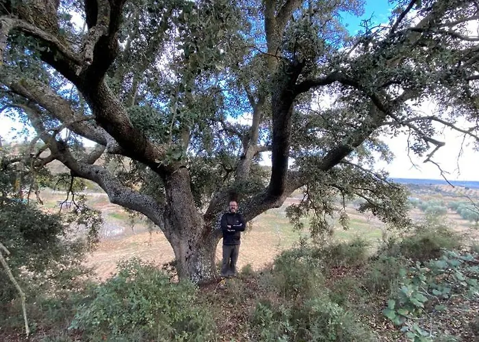 Casa Rural El Zapatero Holiday home Mesegal
